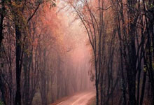 [NBA]詹姆斯防守漏人 比尔上演单臂暴扣.