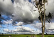 [CBA]浙江稠州金租客场险胜.