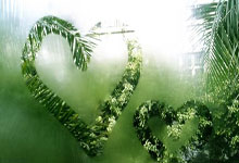 问鼎体育：[NBA]默里反击快攻 追身上篮拿下两分.