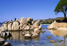 [国内球]冯劲射门变助攻 奇塔迪尼垫射破门.